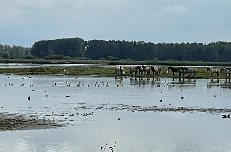 Robbenoort 127, ‘Lauwie’ met apart gastenverblijf