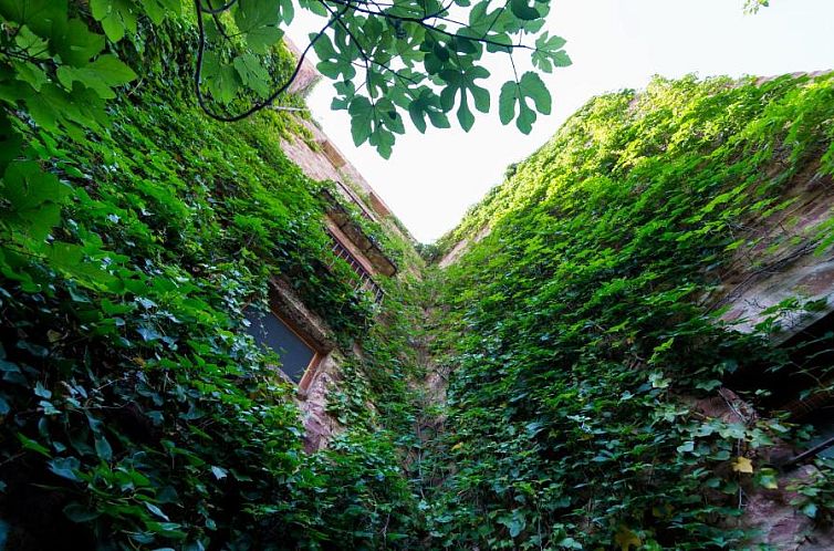 El Jardín Vertical