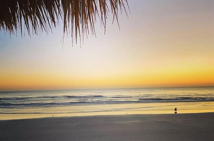 Hampton Inn Daytona Beach/Beachfront