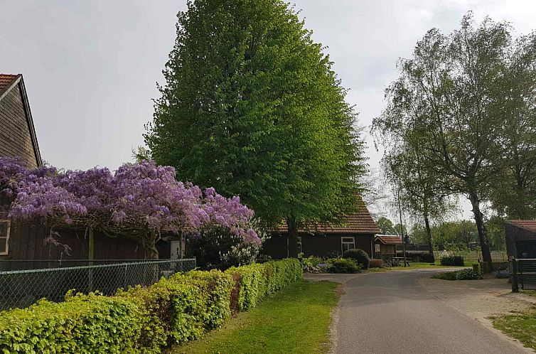 Sfeervol 6 persoons vakantiehuis met 2 badkamers vlakbij