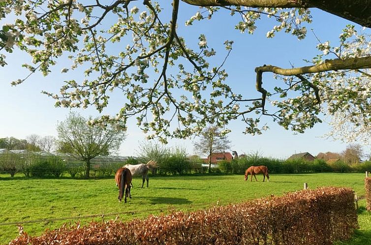 Vakantiehuisje in Roggel