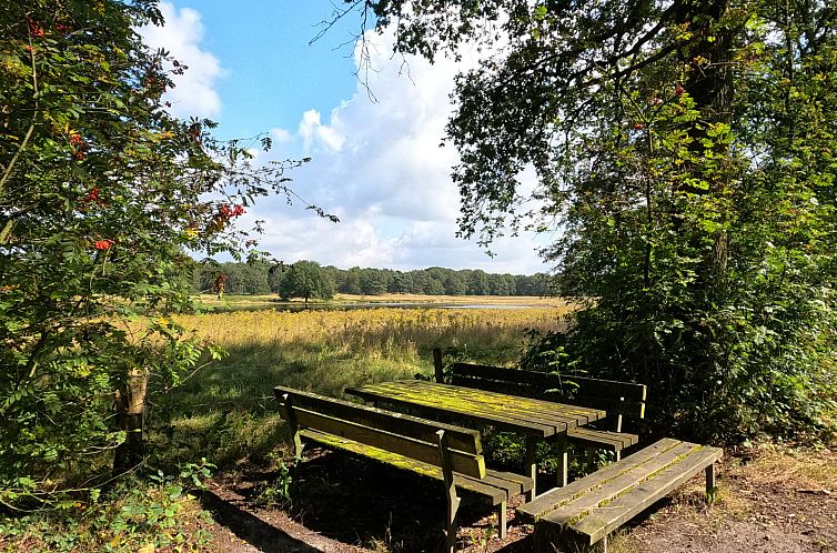 Modern ingerichte 6 persoons vakantiehuis gevestigd in een