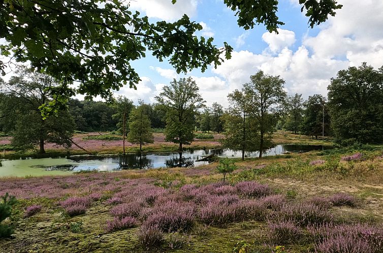 Modern ingerichte 6 persoons vakantiehuis gevestigd in een