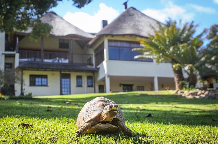 Winelands Villa Guesthouse and Cottages