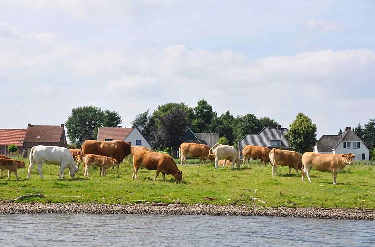 Sfeervolle groepsaccommodatie voor 14 personen in Limburg