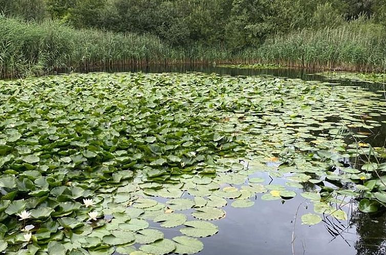 Vakantiehuisje in Maasbree