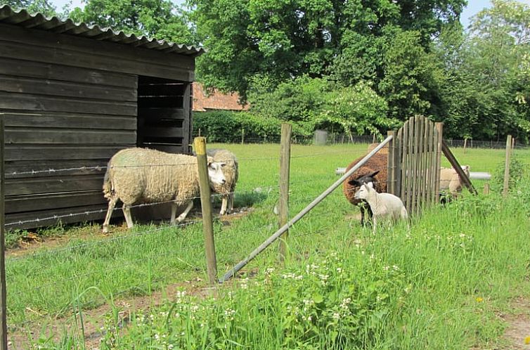 Vakantiehuisje in Sevenum