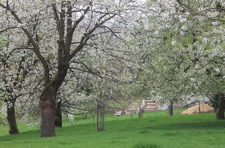 Vakantiehuisje in Vijlen