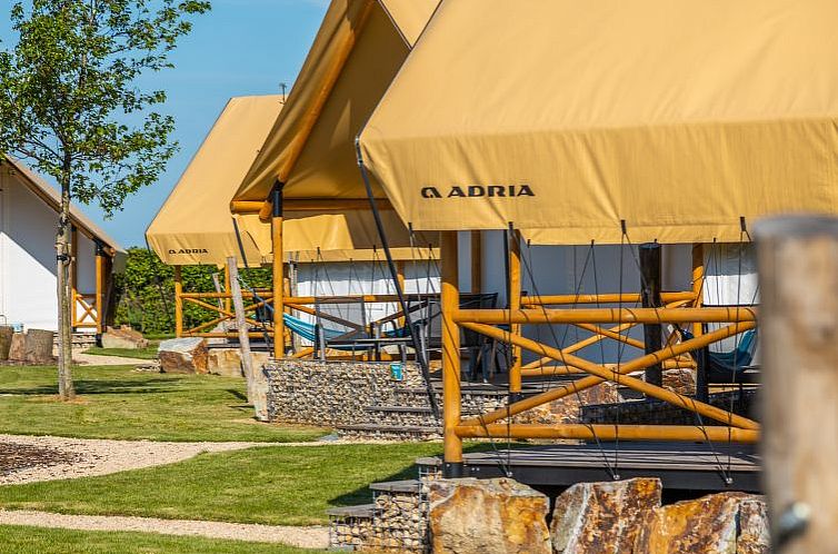 Vakantiehuis Glampingtent Papilio 4