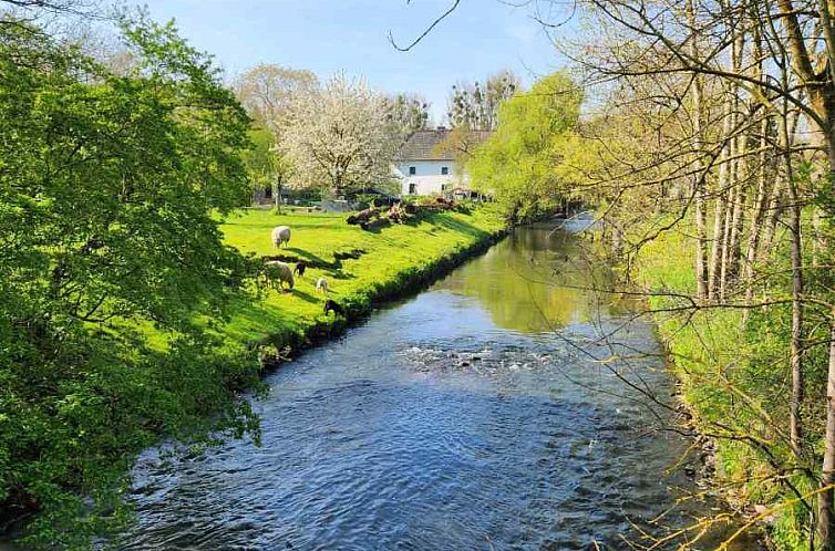 Prachtig 8 persoons vakantiehuis in het dorp Rimburg in