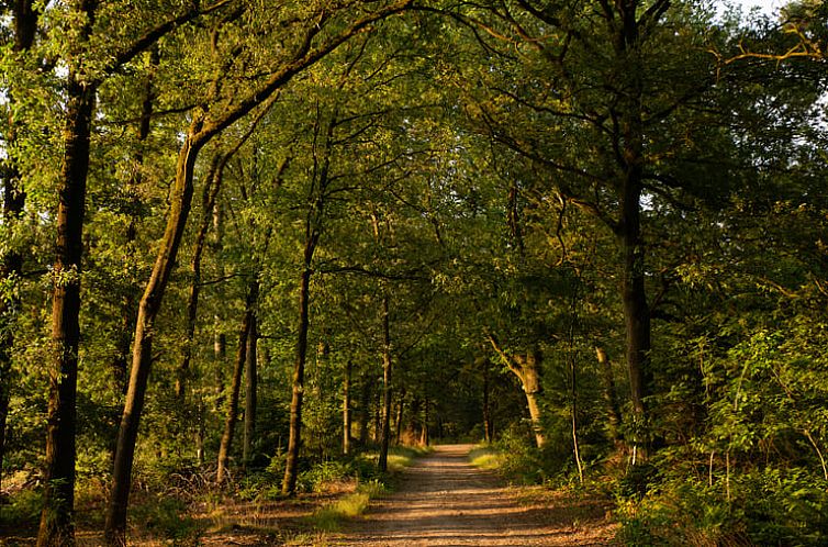 Vakantiehuisje in Lierop