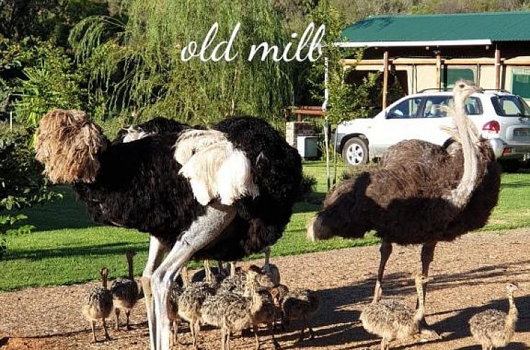 Old Mill Lodge & Restaurant, Oudtshoorn