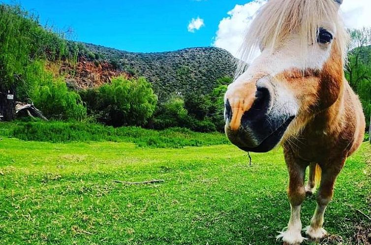 Old Mill Lodge & Restaurant, Oudtshoorn