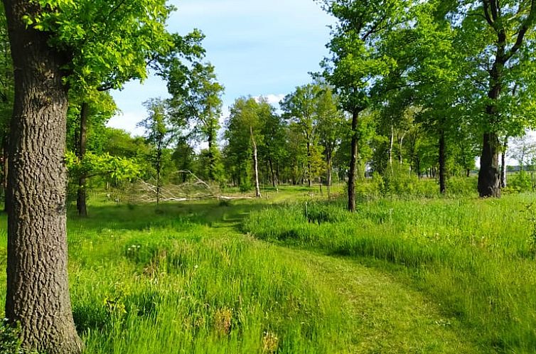 Huisje in Oirschot