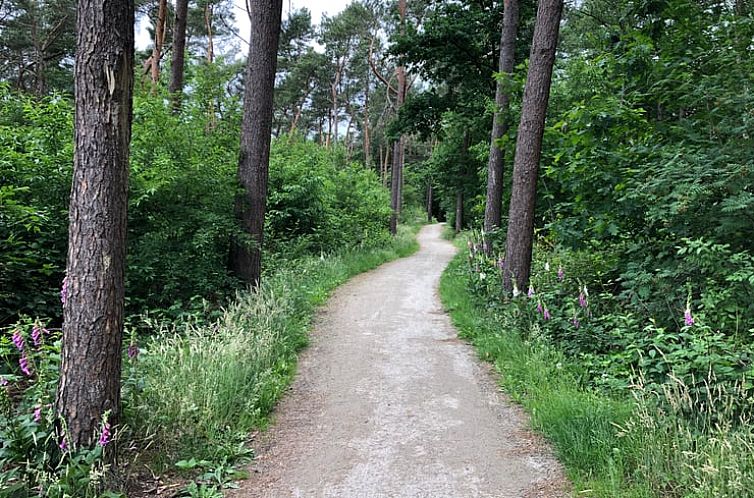 Huisje in Eersel