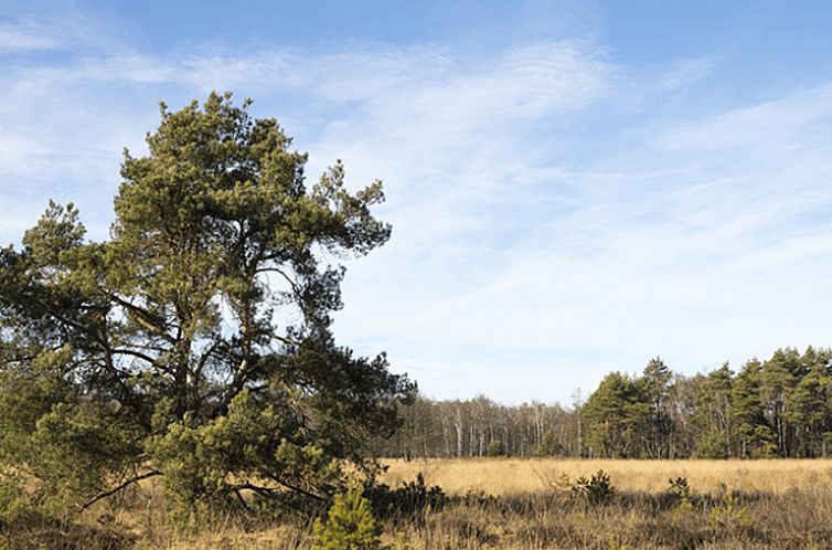 Huisje in Eersel