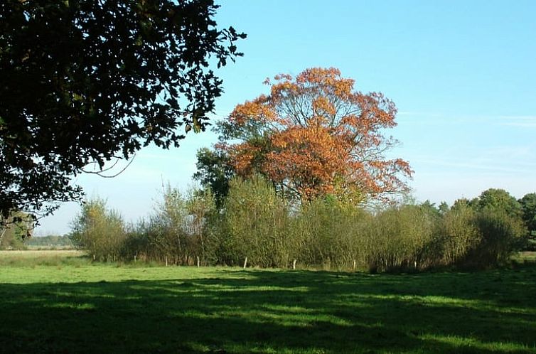 Vakantiehuisje in Baarschot