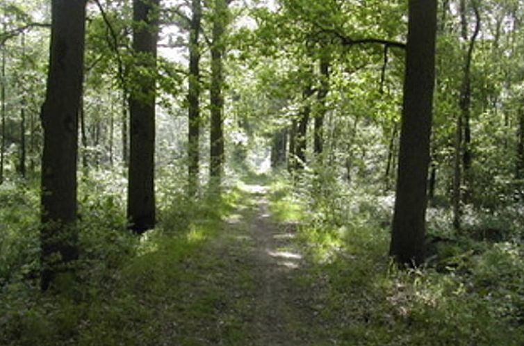 Vakantiehuisje in Oost West en Middelbeers