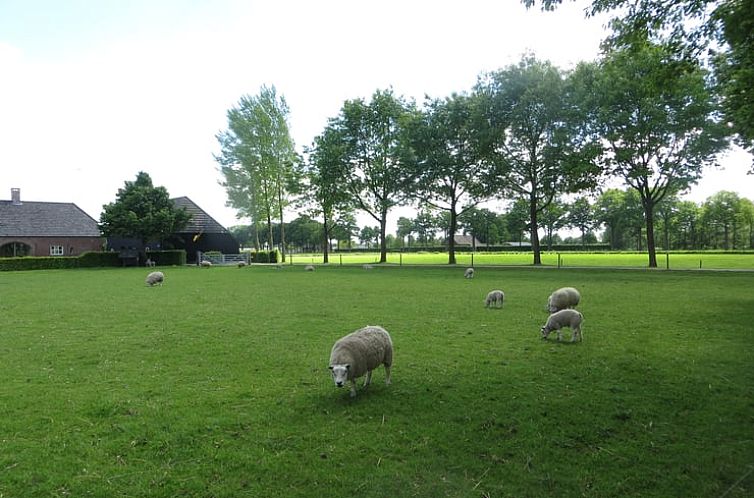 Huisje in Oisterwijk