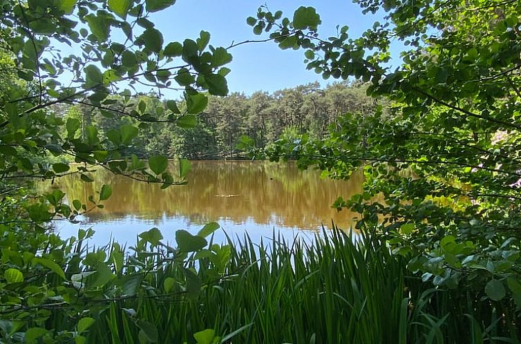 Vakantiehuisje in Oisterwijk