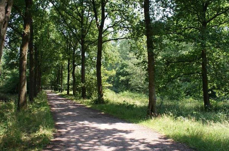 Sfeervol vakantieappartement voor 3 personen in Liempde