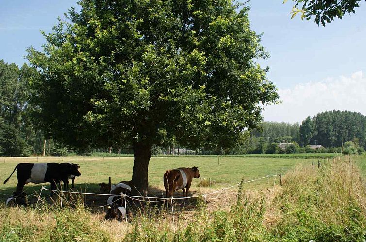 Sfeervolle vakantieboerderij voor vier personen in