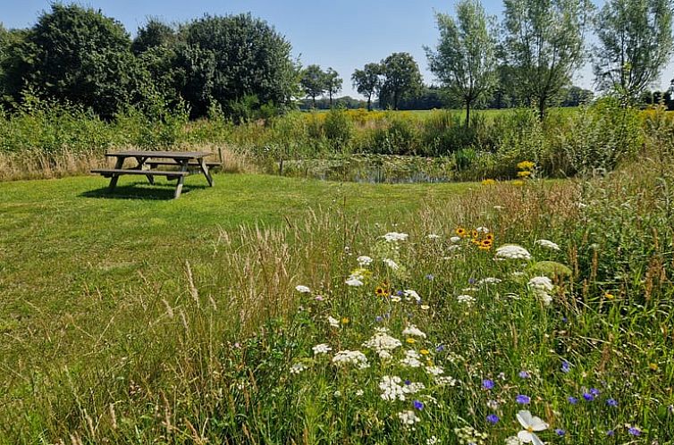 Huisje in Moergestel