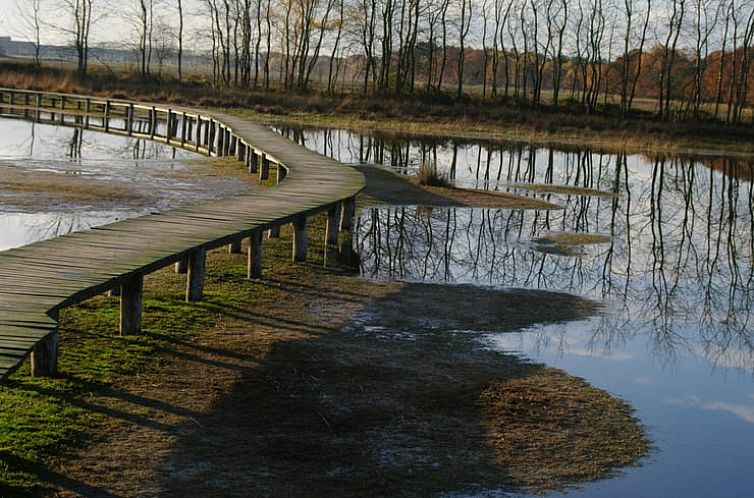 Huisje in De Moer