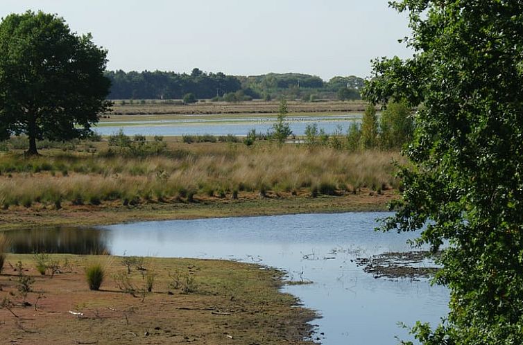 Huisje in De Moer