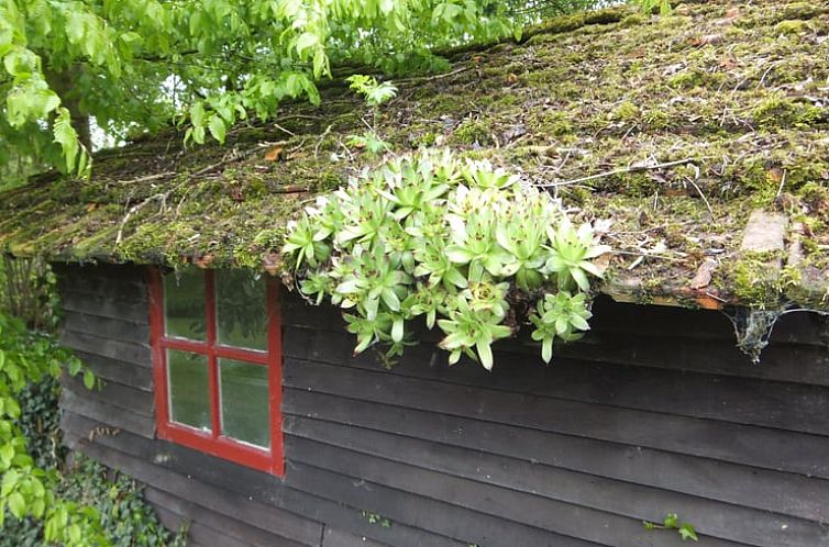 Vakantiehuisje in Sint-Oedenrode