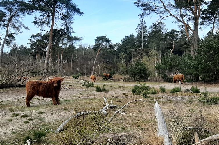 Vakantiehuisje in Sint-Oedenrode