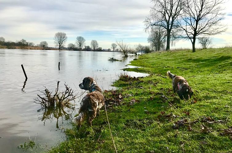 Huisje in Dieden