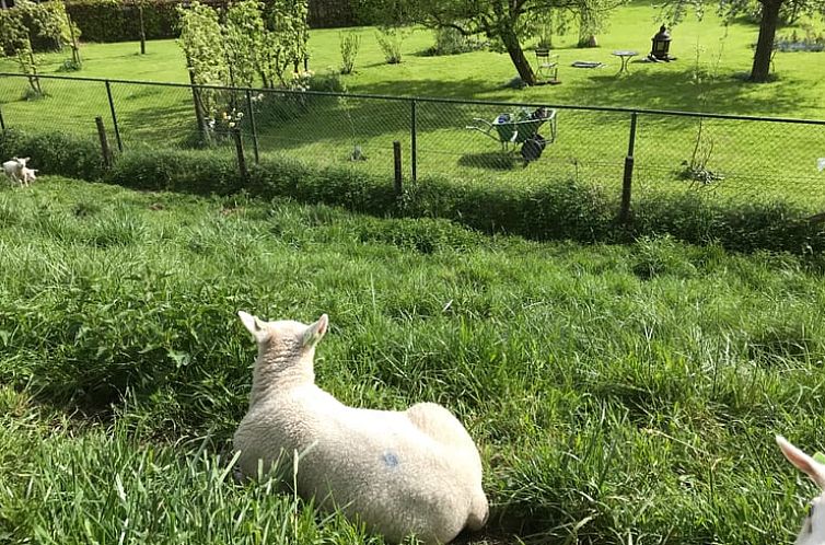 Huisje in Dieden