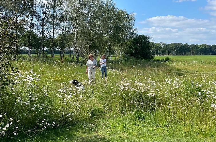 Vakantiehuisje in Gilze