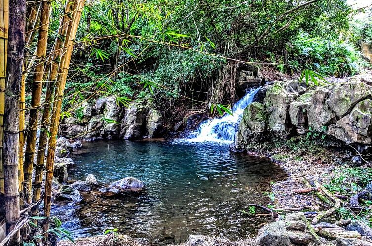 Hamakua House and Camping Cabanas