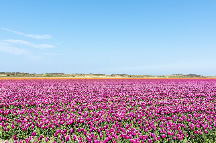 Strandslag 193 Julianadorp aan zee