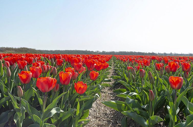 Strandslag 107 Julianadorp aan zee