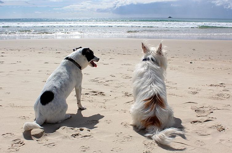 Strandslag 107 Julianadorp aan zee