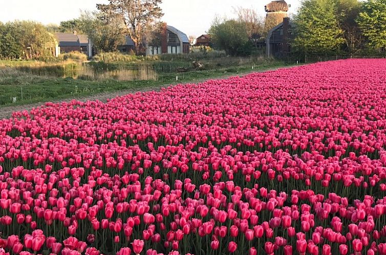 Vakantiehuis Klein Geluk