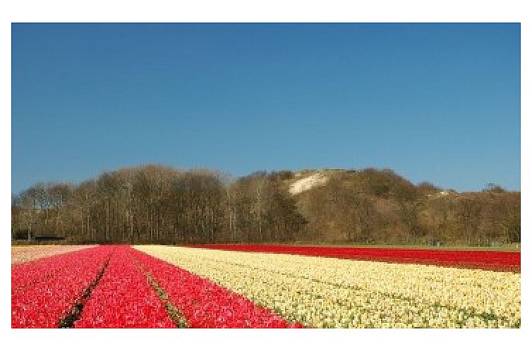 Vakantiehuisje De Blaauboer