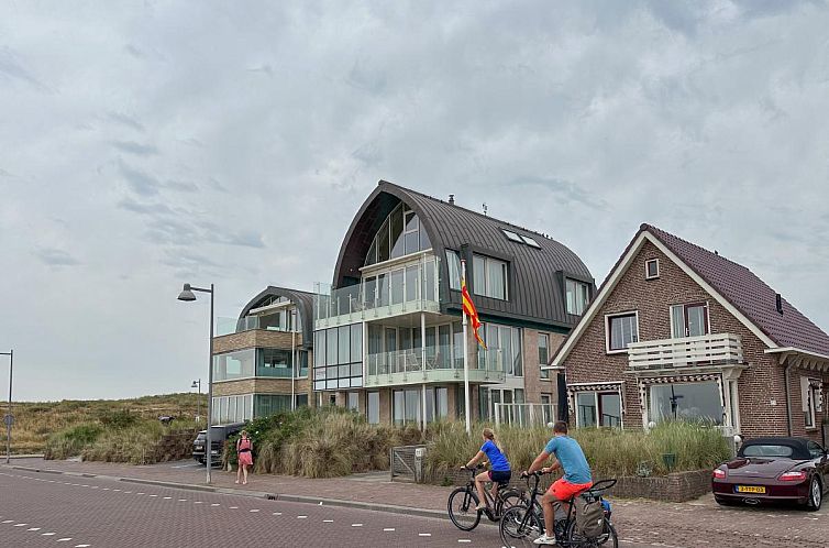 Krab aan Zee