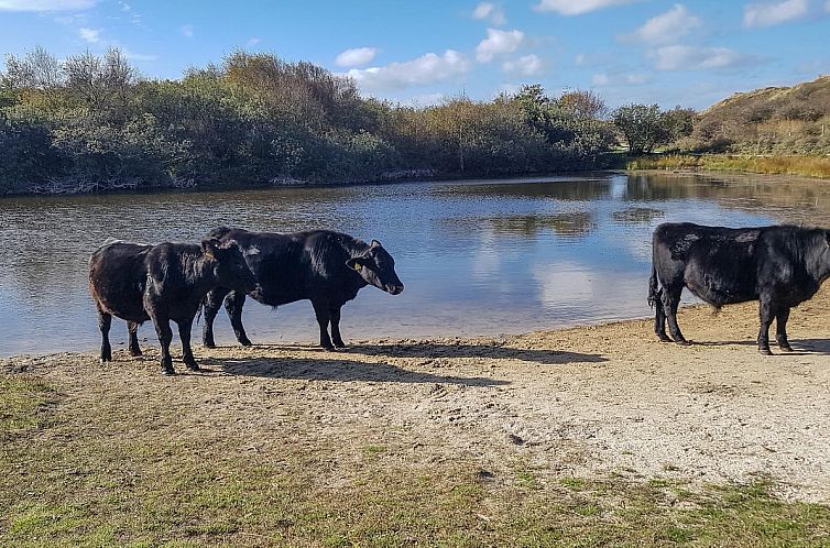 Wijde Blick 211 Callantsoog