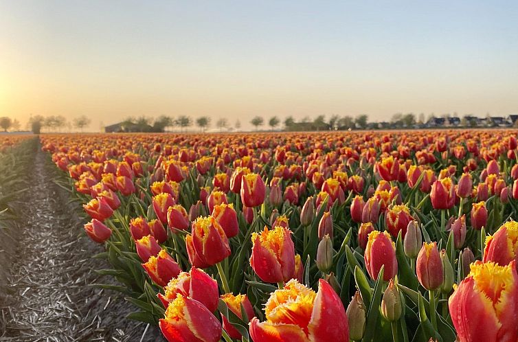 Boerenslag 19 Sint Maartenszee