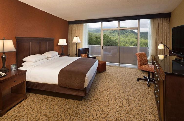 The Park Vista - A DoubleTree by Hilton Hotel - Gatlinburg