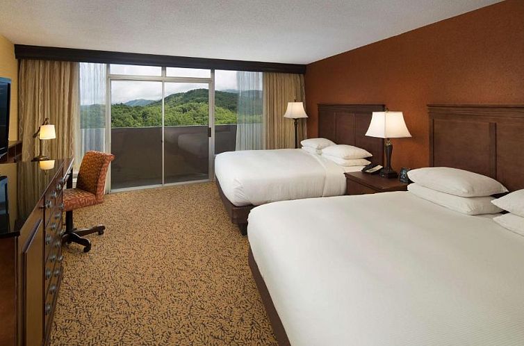 The Park Vista - A DoubleTree by Hilton Hotel - Gatlinburg