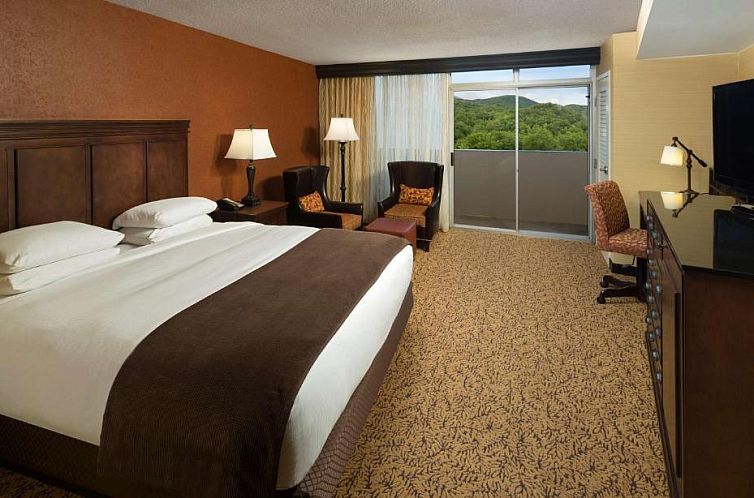 The Park Vista - A DoubleTree by Hilton Hotel - Gatlinburg