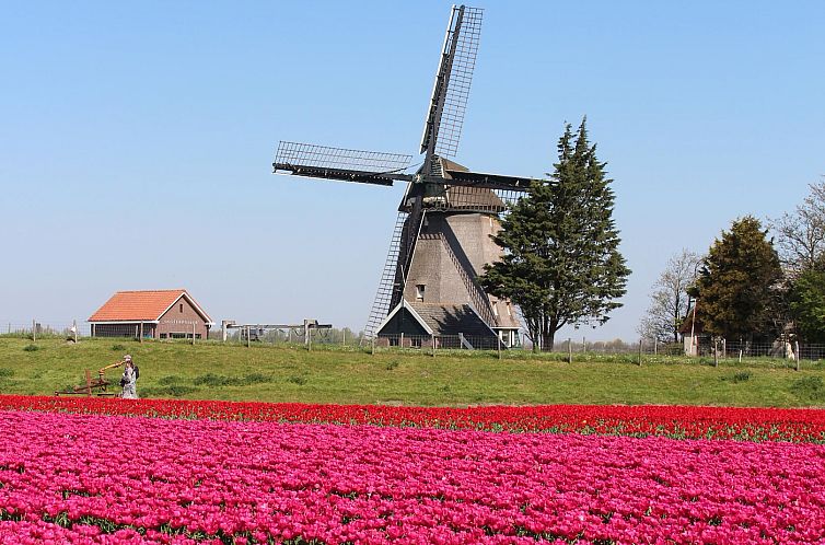 Chalet Marine Sint Maartenszee