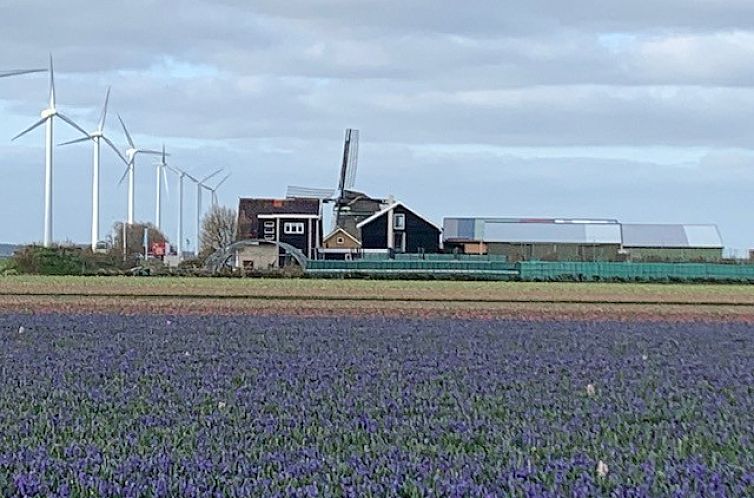 d'Oude Bollenschuur, appartement de oude Paardenstal