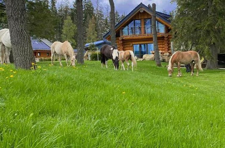 Naturstammhaus und Appartements Zum Brockenbaecker