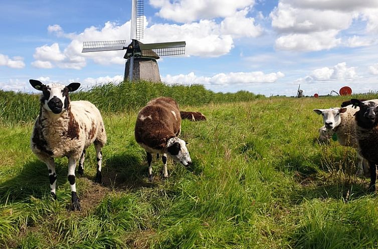 Huisje in Oudesluis